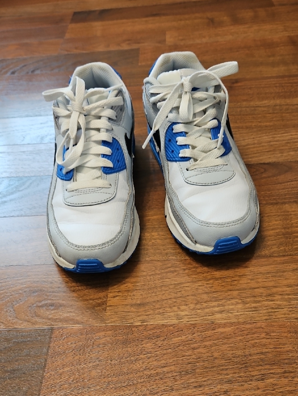 Nike Kids Air Max White and Blue Sneakers